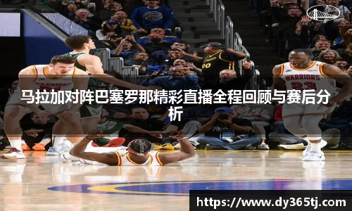 智博19有限公司