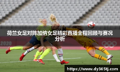 智博19有限公司