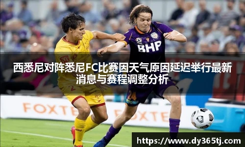 智博19有限公司